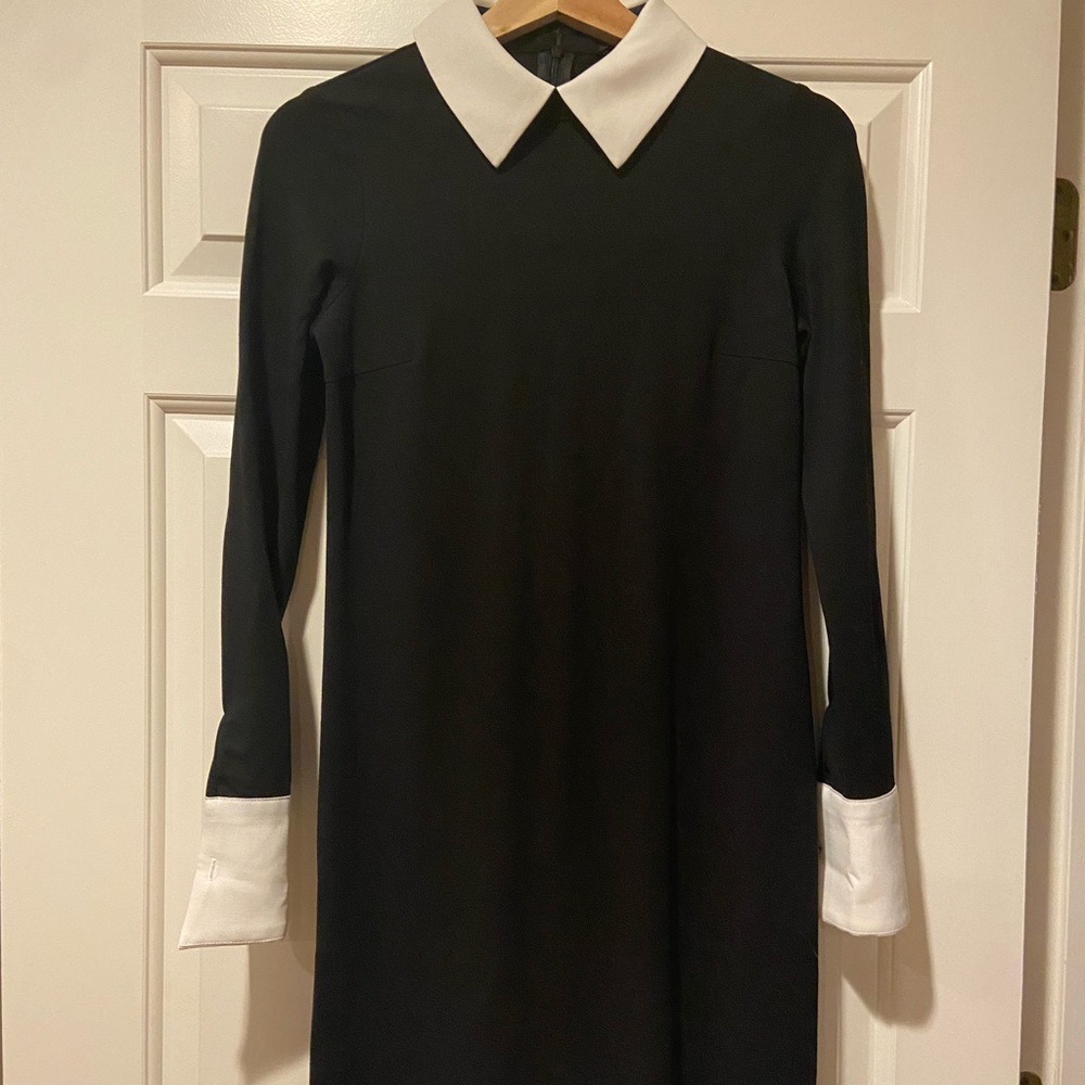 Coco Bella collard dress